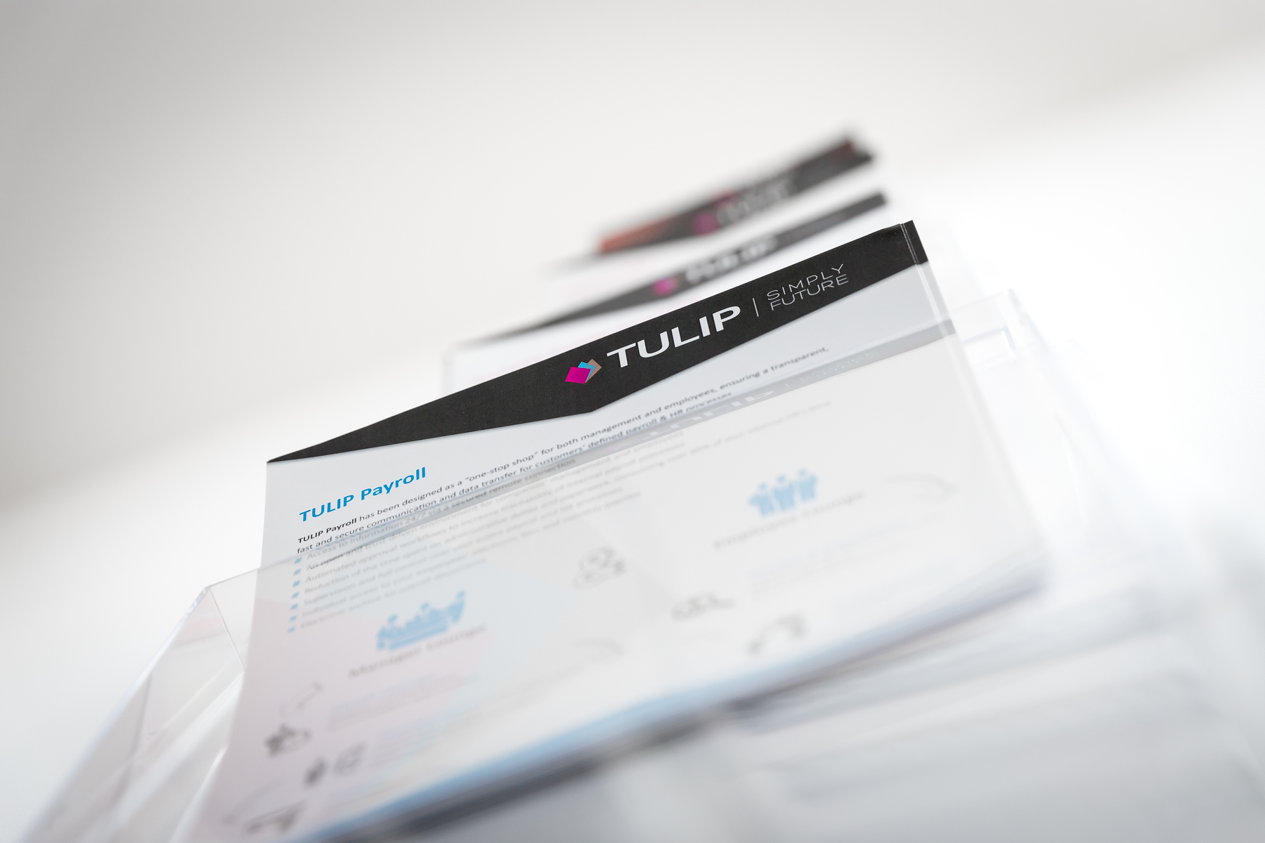 payroll outsourcing - tulip blog